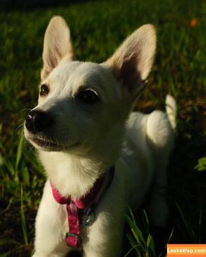 Solomia Maievska photo #1718