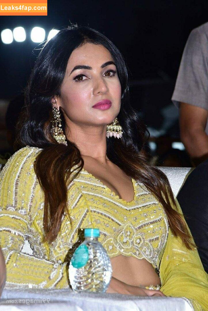 Sonal Chauhan / sonalchauhan слитое фото фото #0061