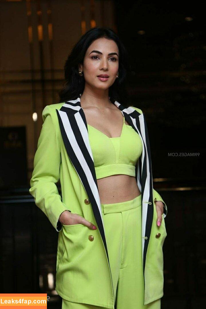 Sonal Chauhan / sonalchauhan слитое фото фото #0062