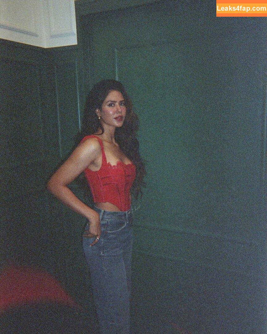 Sonam Bajwa / sonambajwa leaked photo photo #0004