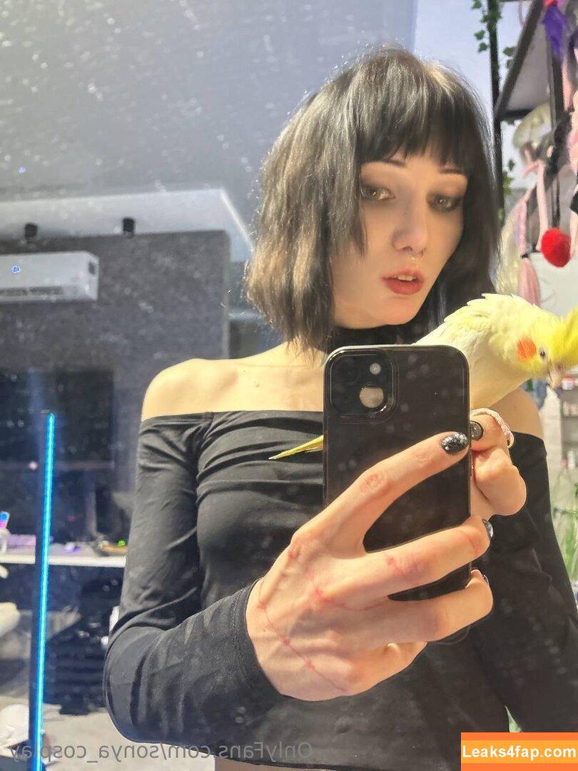 sonya_cosplay /  leaked photo photo #0032