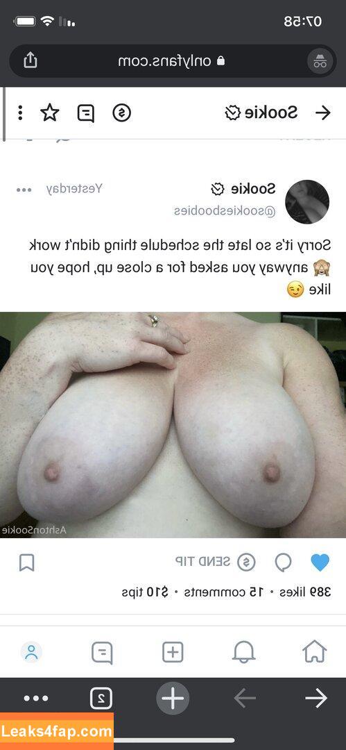 SookieCookiie / sookiesboobies leaked photo photo #0026