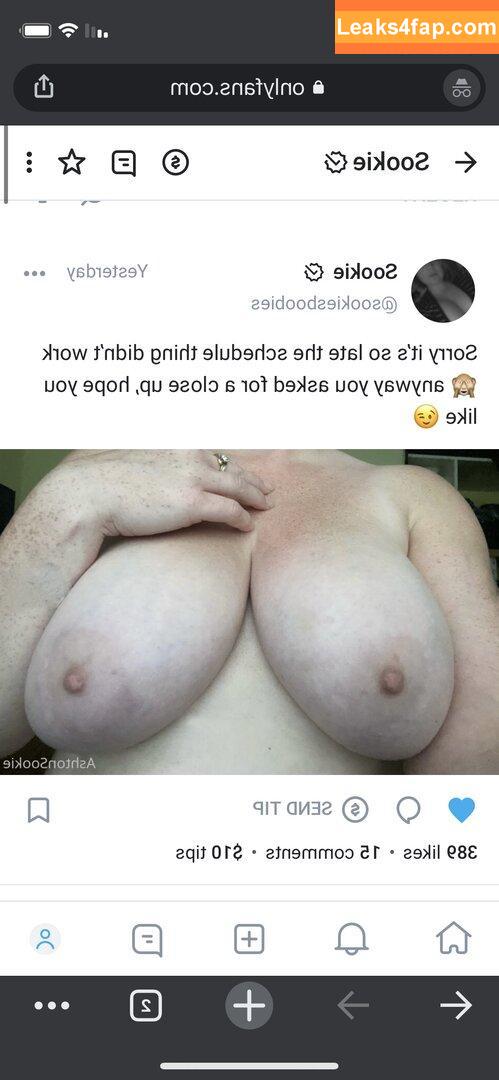 SookieCookiie / sookiesboobies leaked photo photo #0040