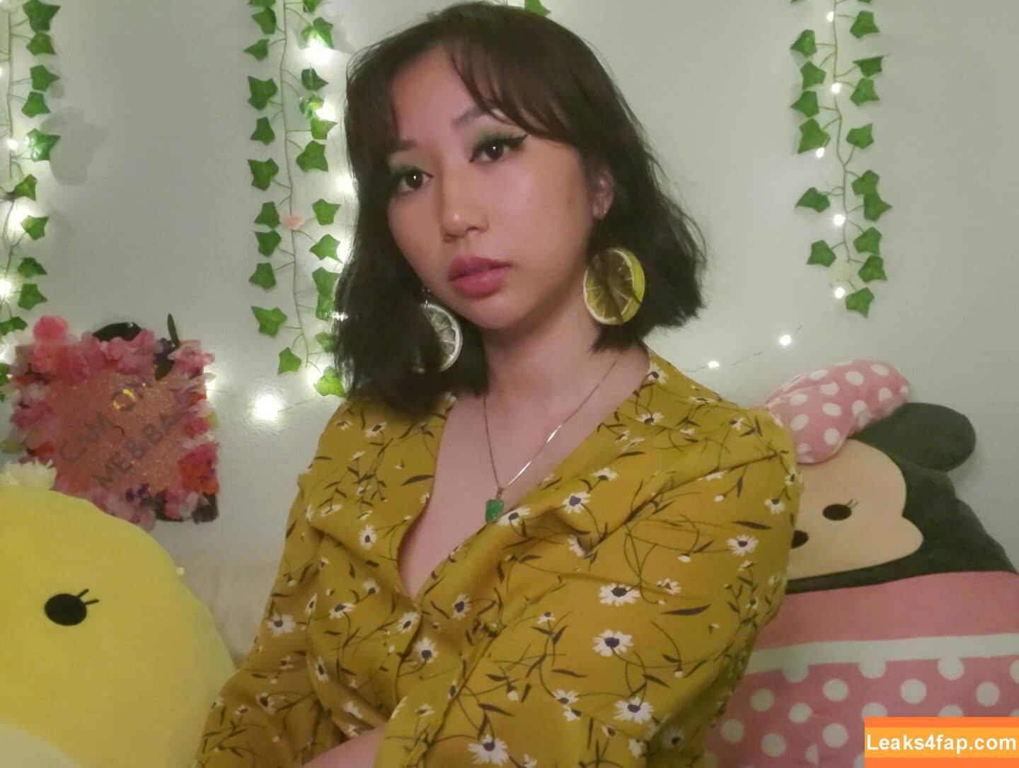 Sophia Phan / EatMyPhannnie / Sophiaphannn / _sophiaphan leaked photo photo #0052