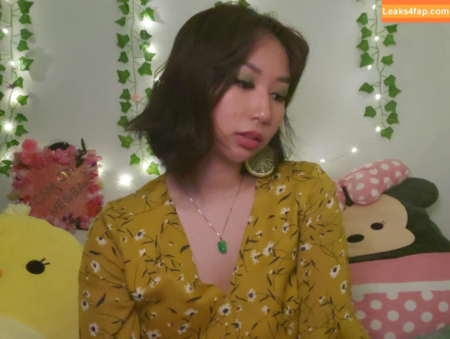 Sophia Phan / EatMyPhannnie / Sophiaphannn / _sophiaphan leaked photo photo #0054