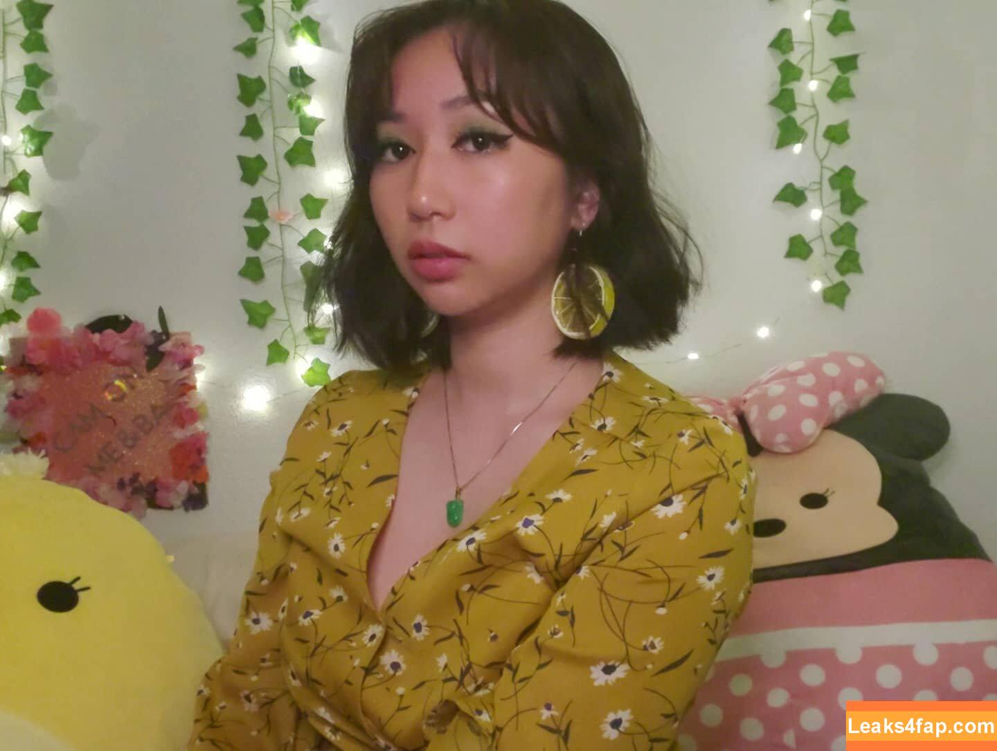 Sophia Phan / EatMyPhannnie / Sophiaphannn / _sophiaphan leaked photo photo #0056