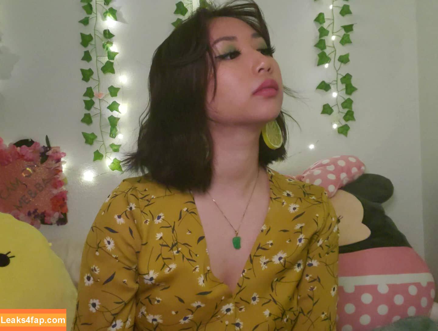 Sophia Phan / EatMyPhannnie / Sophiaphannn / _sophiaphan leaked photo photo #0057