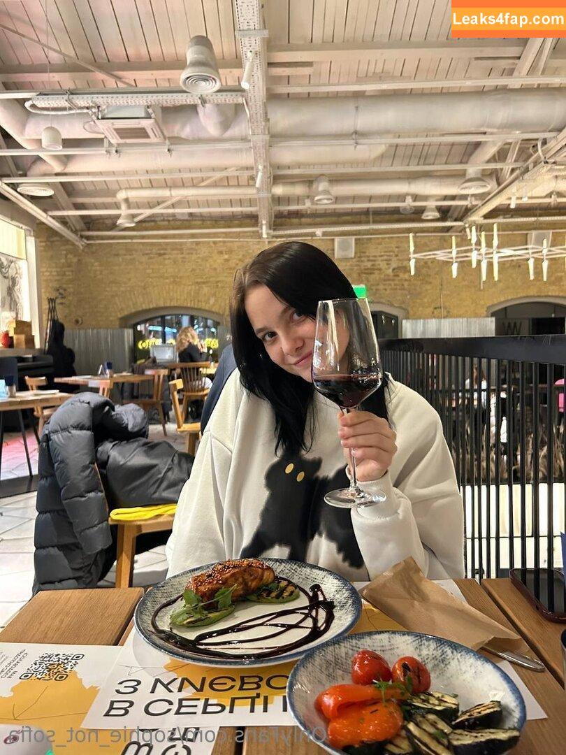 sophie_not_sofia /  leaked photo photo #0011