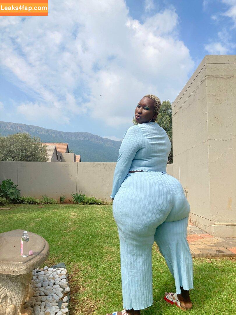 South African Thick / african.babez / the_real_liso leaked photo photo #0004