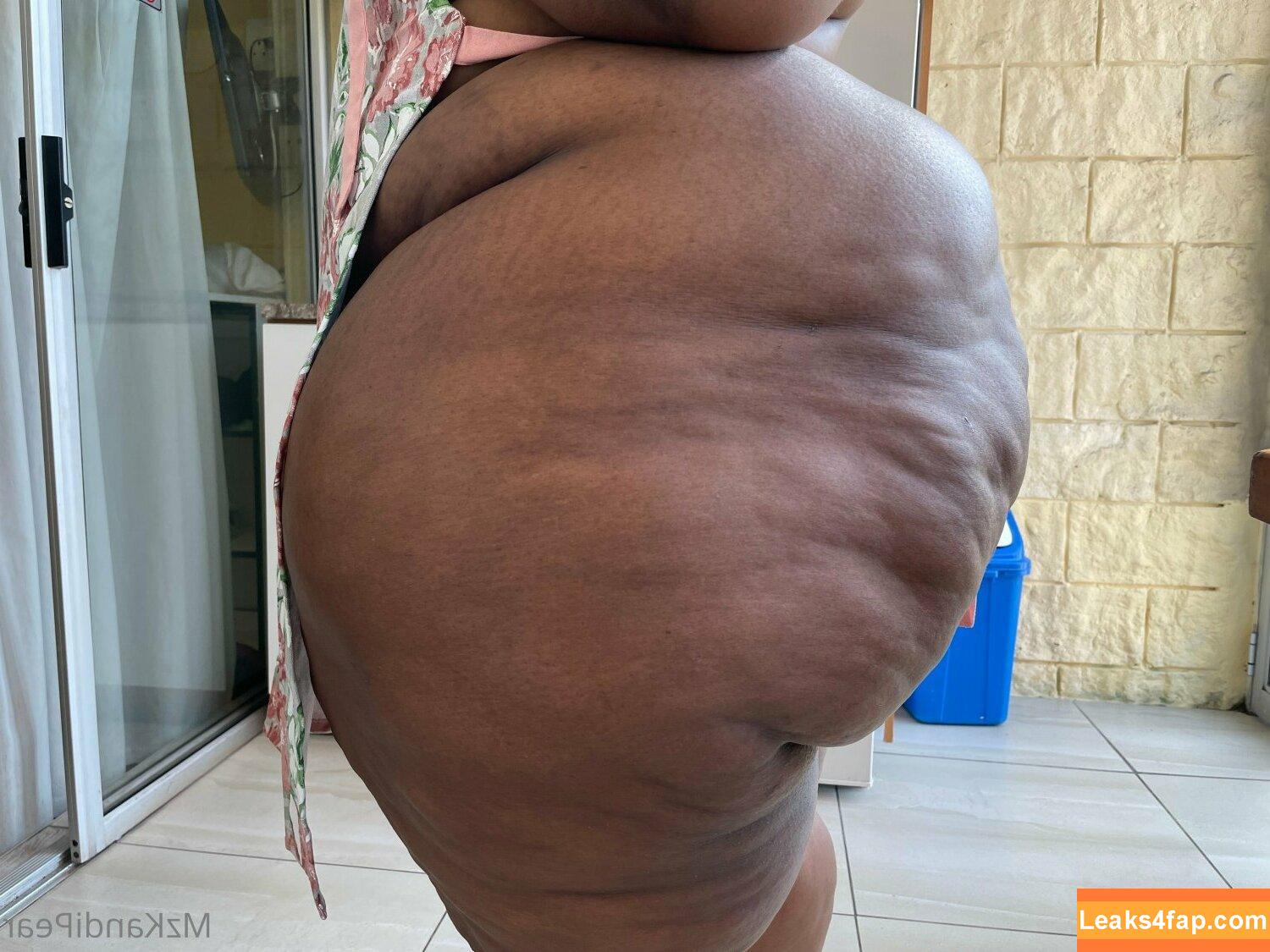 South African Thick / african.babez / the_real_liso leaked photo photo #0027