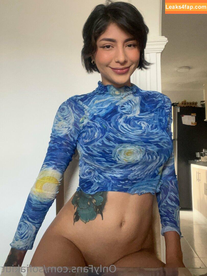 soysofia_2 /  leaked photo photo #0099