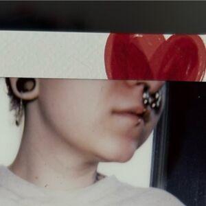 soyworm photo #0026