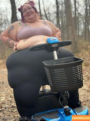spanxbeluga photo #0087