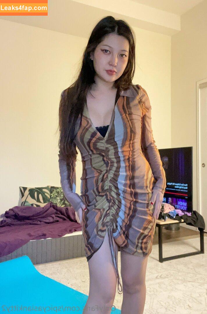 spicyasiankitty2 / spicyasiankittyxo leaked photo photo #0069