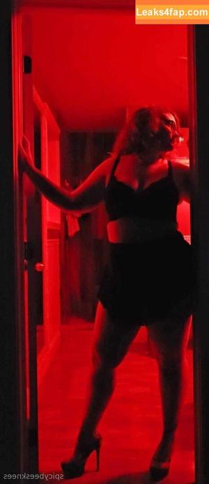 spicybeesknees photo #0007