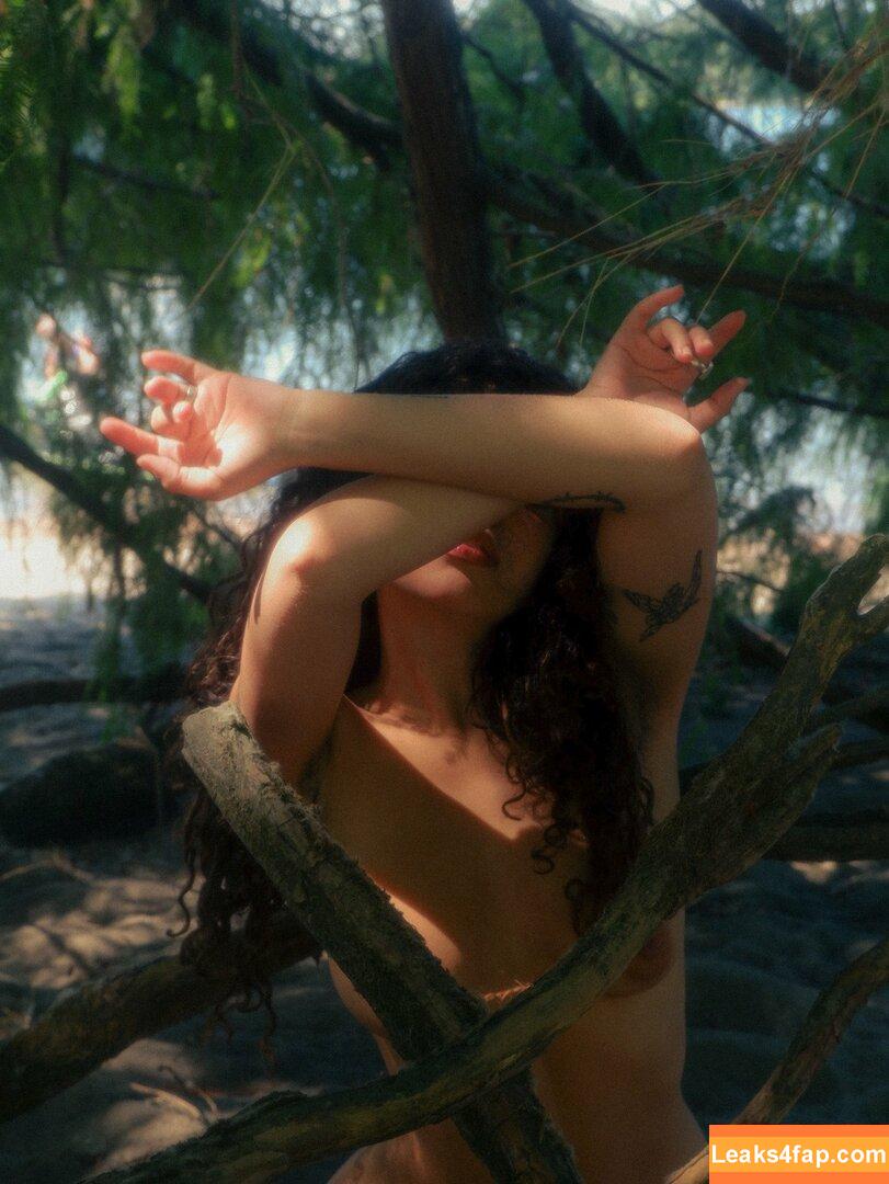 Spicymarii / lilfairymari / spicymari leaked photo photo #0039
