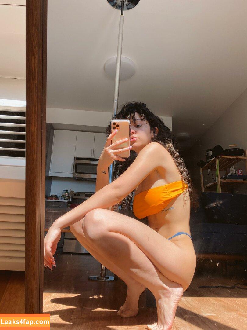 Spicymarii / lilfairymari / spicymari leaked photo photo #0059