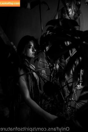 spiritsofnature photo #0020