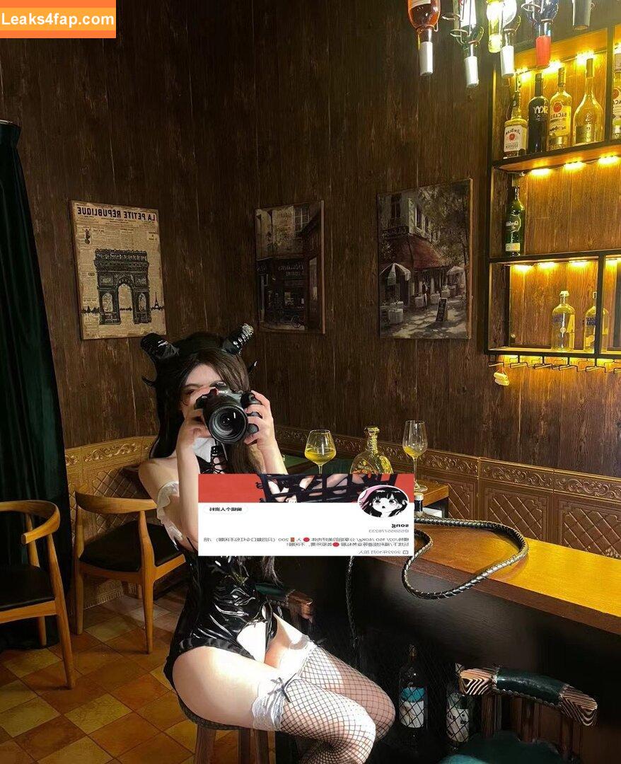 SS95577233 / SS95578233 / phoenix_peach / 入🚪私信只回复口令红包 leaked photo photo #0017