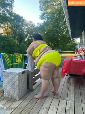 ssbbwladyjiggles photo #0054