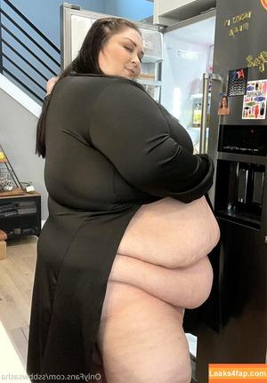 ssbbwsasha photo #0299