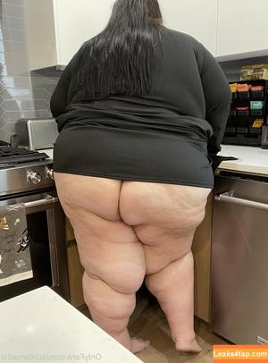 ssbbwsasha photo #0316
