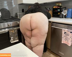 ssbbwsasha photo #0318