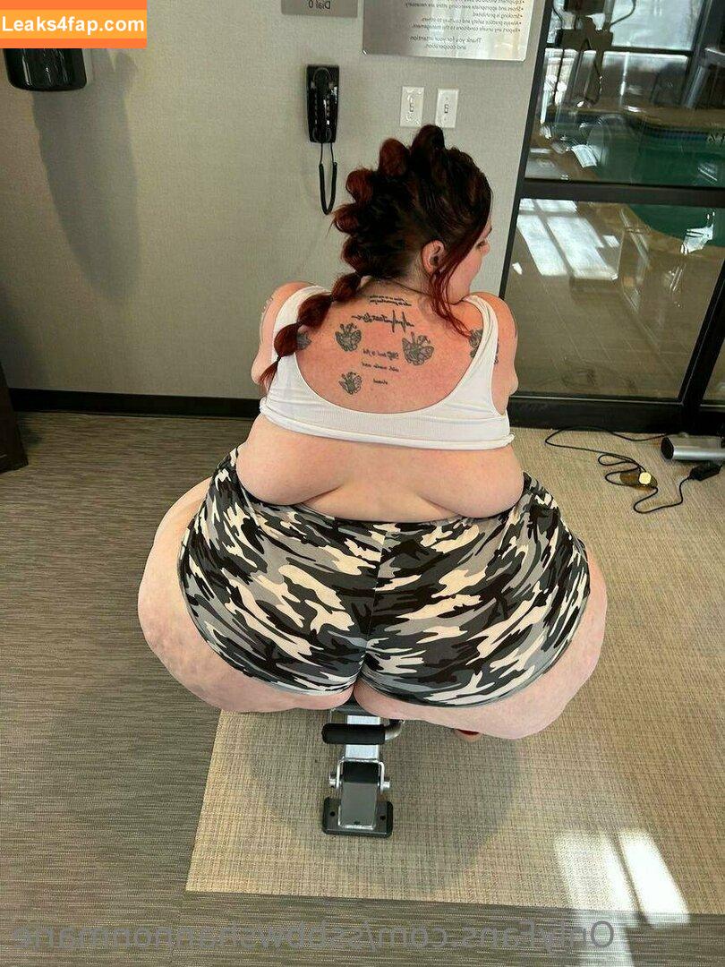 ssbbwshannonmarie / big_ssbbws leaked photo photo #0065