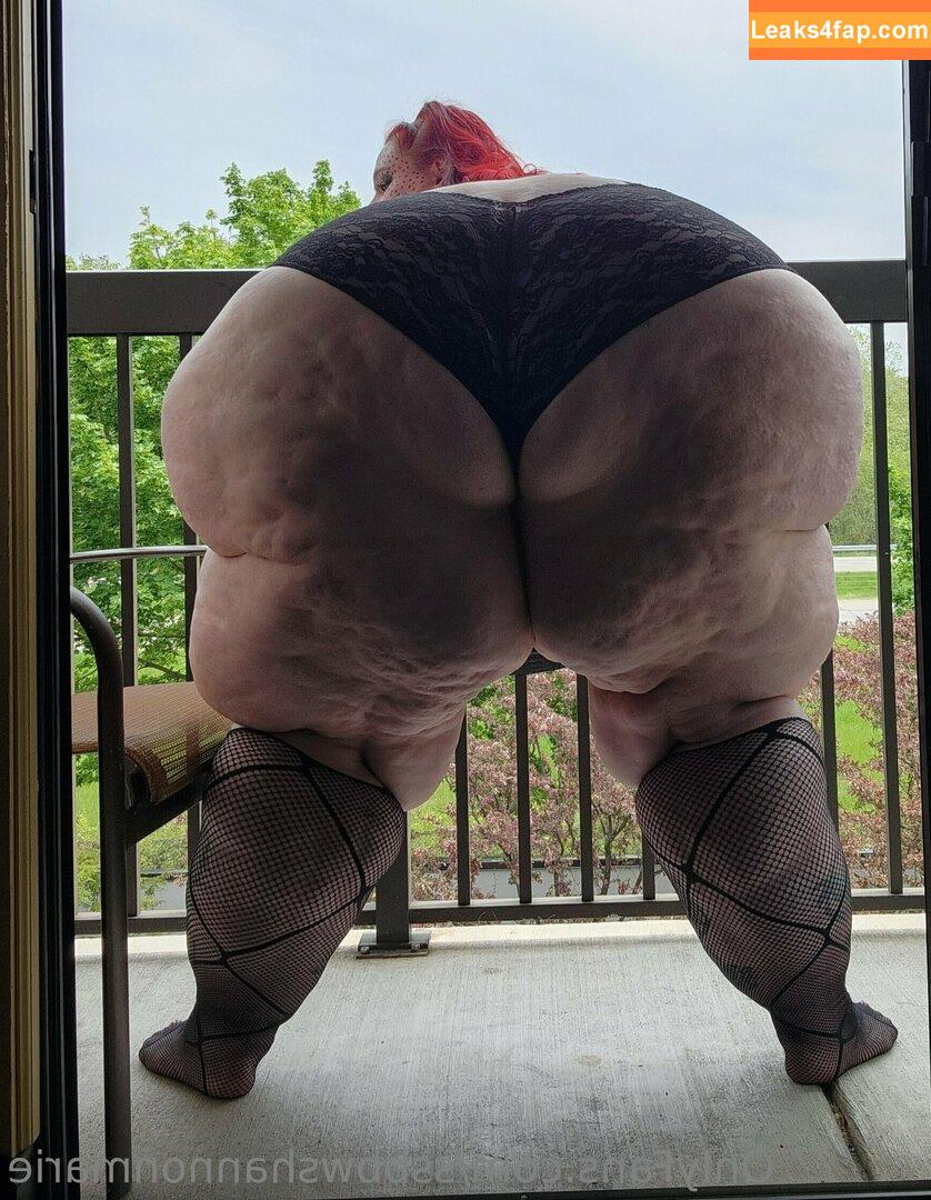 ssbbwshannonmarie / big_ssbbws leaked photo photo #0107