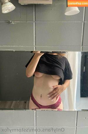 sstormyfox photo #0060