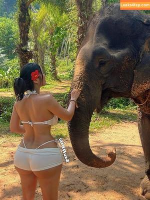 Ssunbiki фото #0404