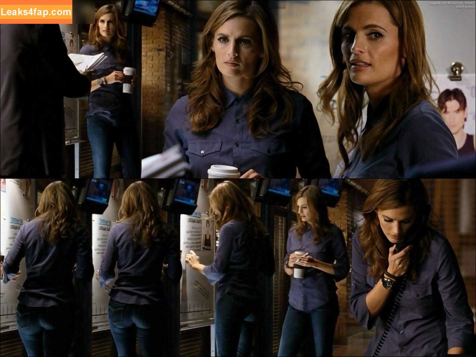 Stana Katic / drstanakatic leaked photo photo #0097