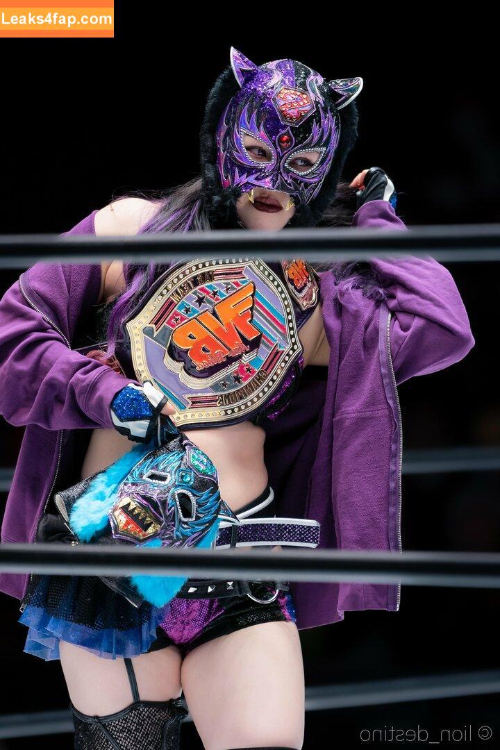 Starlight Kid / stardom_starlightkid leaked photo photo #0015