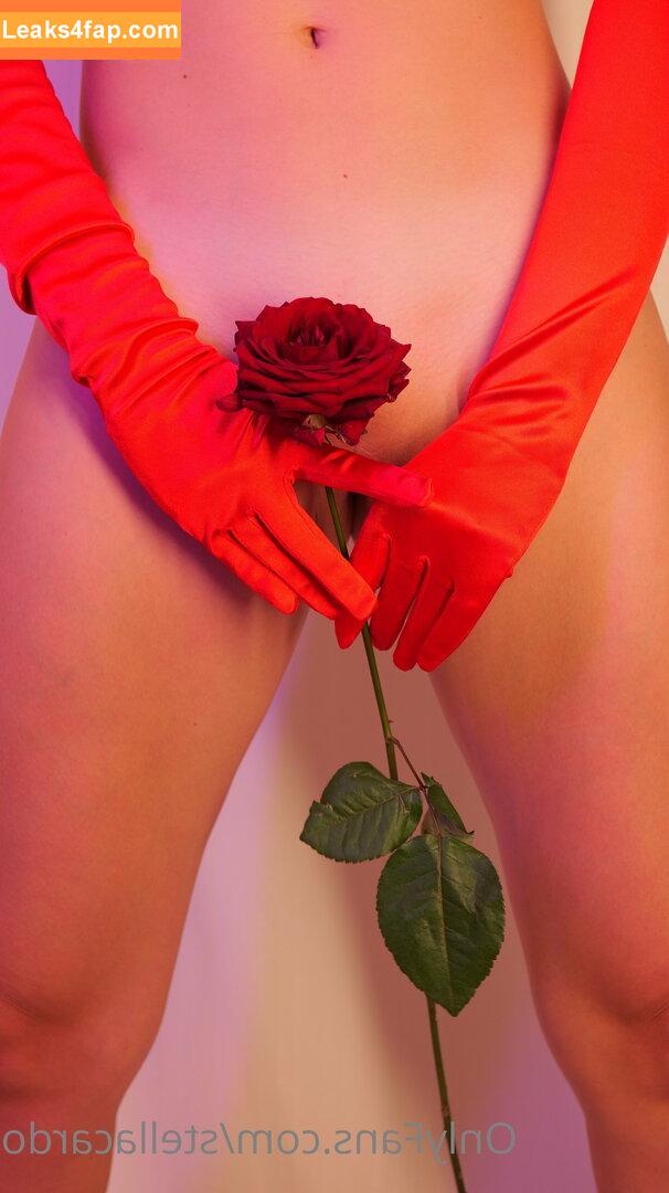 Stella Cardo / StellaStephan69 / Stellacardo / stella_cardo_official слитое фото фото #1242