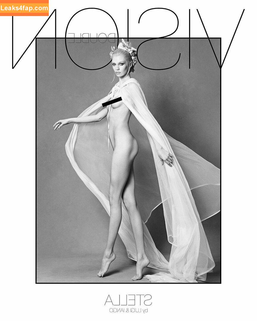 Stella Maxwell / stellamaxwell слитое фото фото #0033