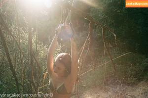 stellabarey photo #0022