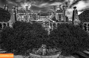 Stephanie Bolam photo #0002