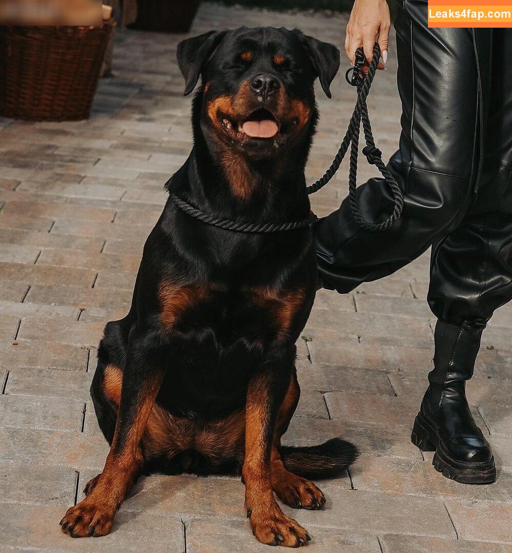 Stephanie Davis / elaine-dvs... / stephaniedavis88 leaked photo photo #0254