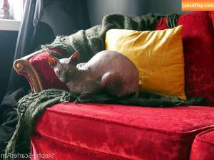 Stephie Scarlet photo #0017