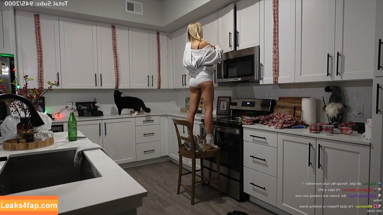 Stepsiskat / Katiemilerr / stepsiskate слитое фото фото #0048