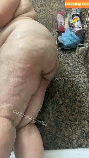 stillinmetamorphosis photo #0008