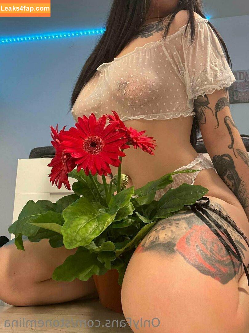 stonemlina / lina.dreamy leaked photo photo #0026