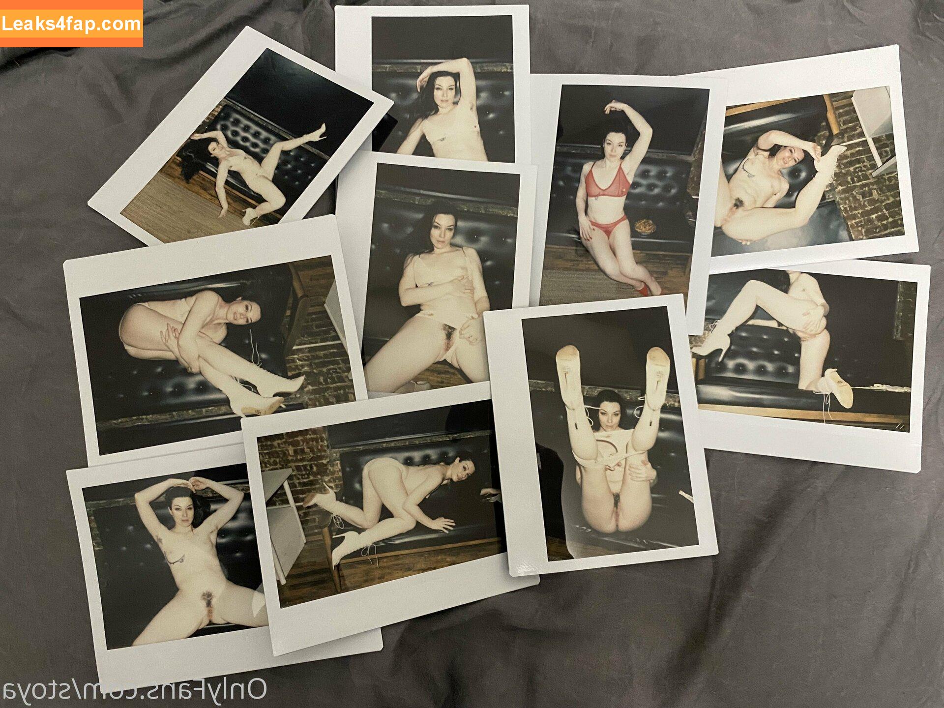 Stoya leaked photo photo #0111