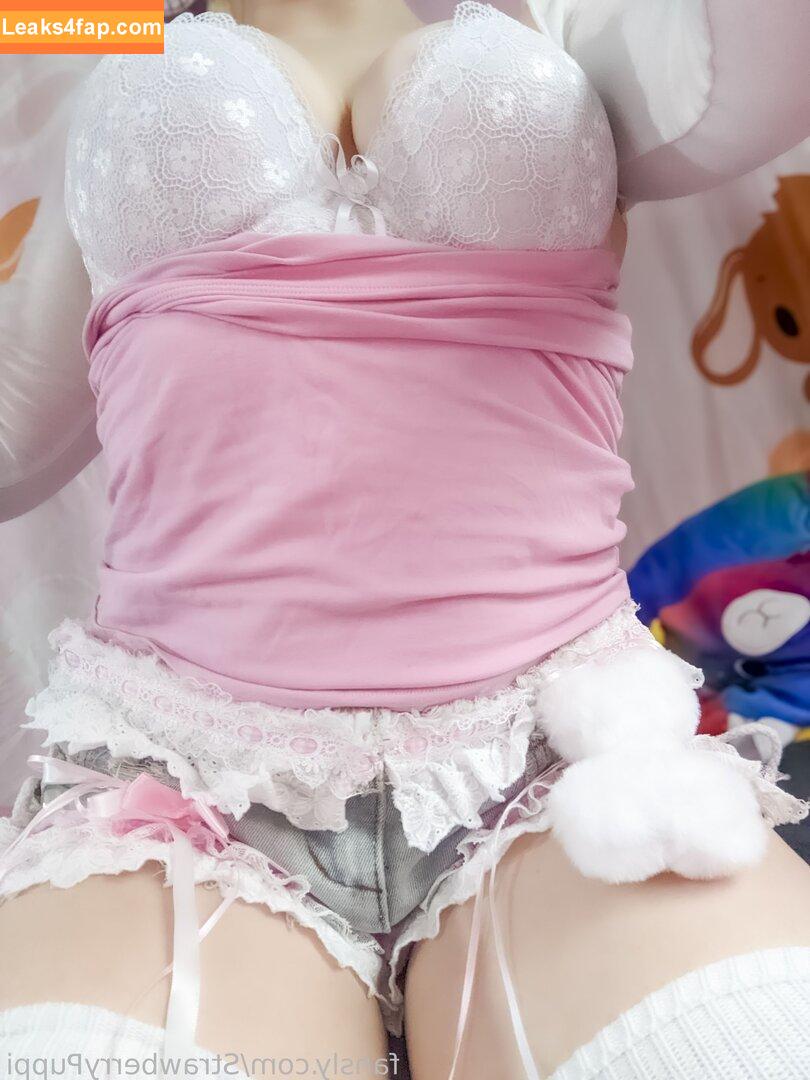 StrawberryPuppi / ServicePuppie leaked photo photo #0029