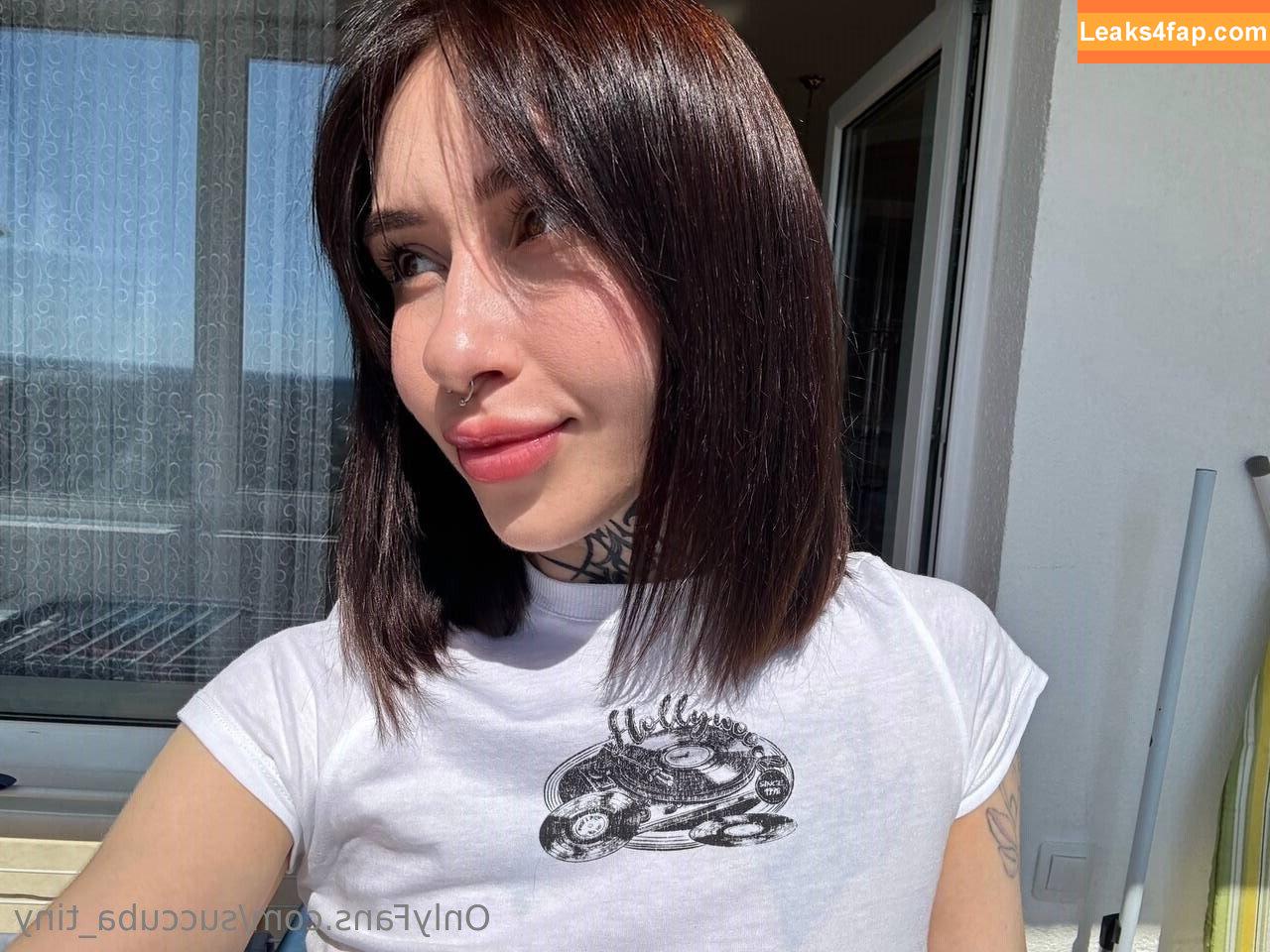 succuba_tinyy / _tinysea_ leaked photo photo #0003