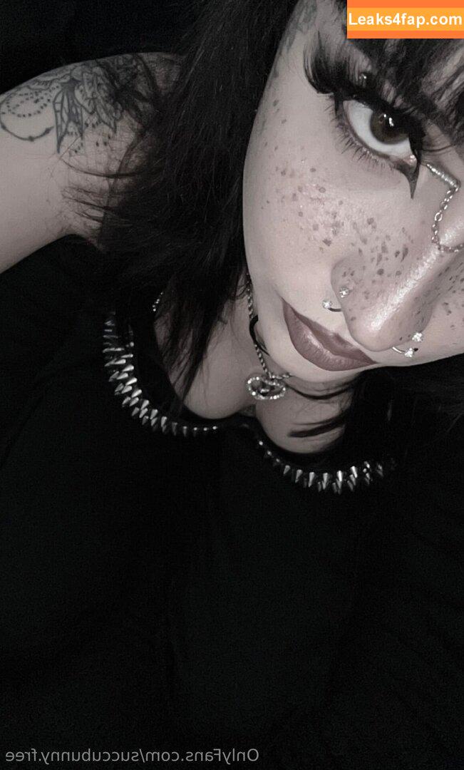 succubunny.free / succubunny.xo leaked photo photo #0003
