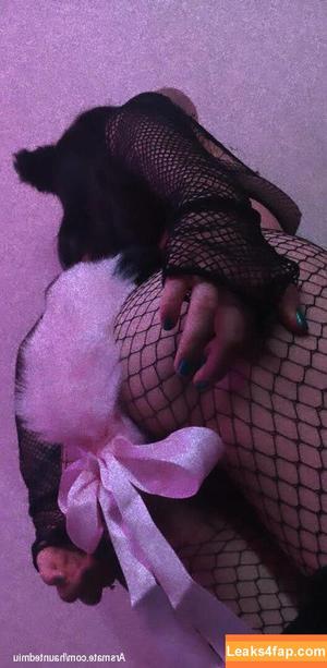 Sugarpain photo #0024