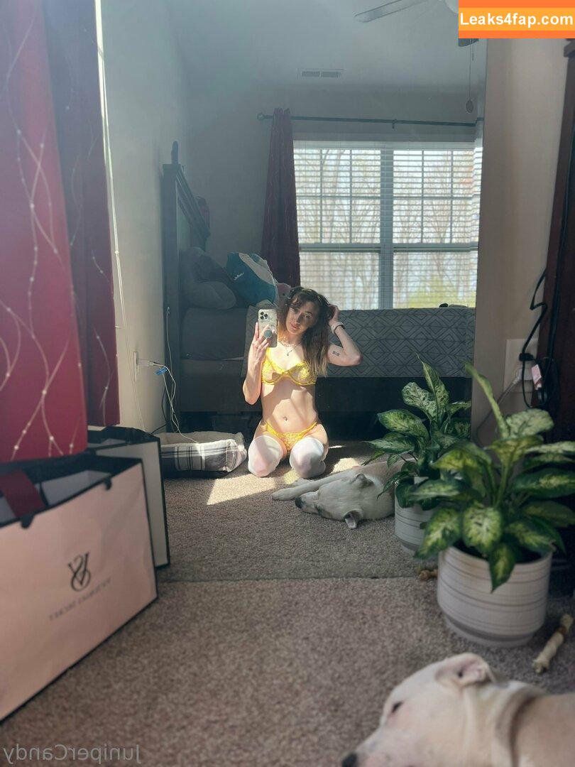 sugartime / sugartimeaus leaked photo photo #0180
