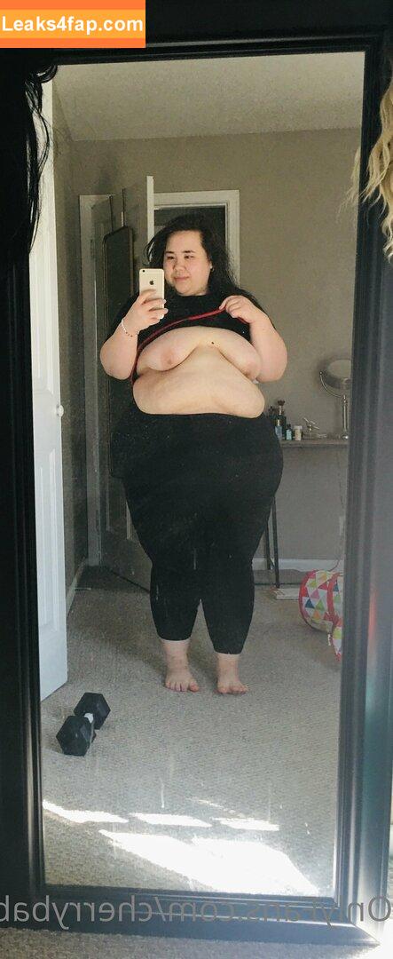 swampgirlssbbw /  leaked photo photo #0026