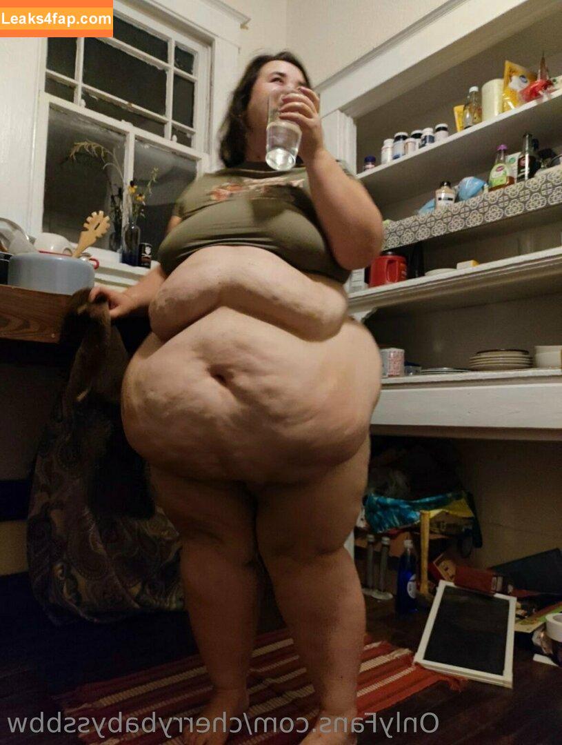 swampgirlssbbw /  leaked photo photo #0068